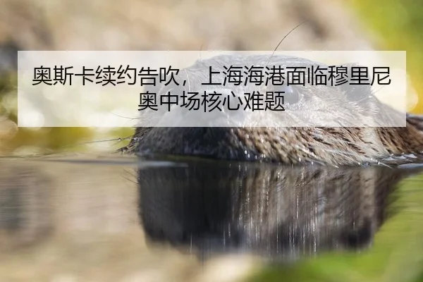 ao-si-ka-xu-yue-gao-chui-shang-hai-hai-gang-mian-lin-mu-li-ni-ao-zhong-chang-he-xin-nan-ti-2-223.jpg